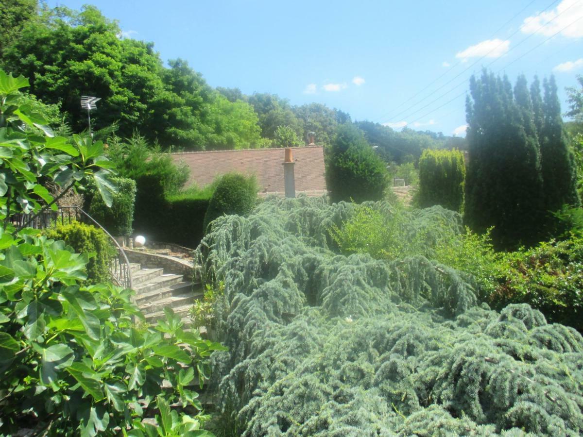 Couleurs Loire Bed and Breakfast Molineuf Esterno foto
